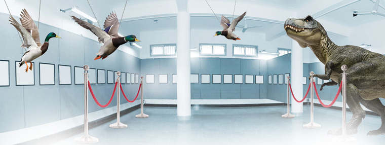 Modern-birds-dinosaurs